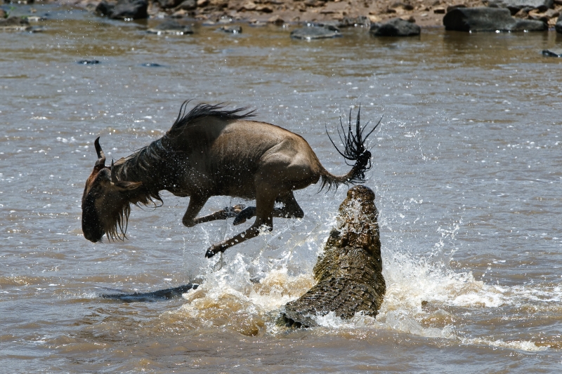 Watering Hole Attack